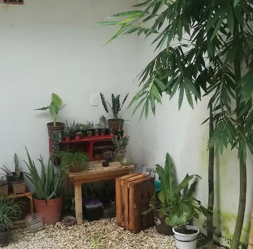 Casa Neptuno * Tulum